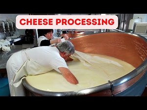 Incredible Inside Cheese Making Factory Plant- Steps How Cheese is Made and Produce Like a Pro!