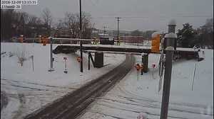 3.3K views · 110 reactions | Amazing Nature on Reels | Facebook