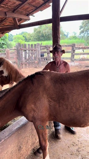 CADA DIA QUE PASSA ELAS ESTÃO MAIS LINDAS 🤎🤍 #roça #vidanaroça #vidanocampo #pai #pecuariabrasil🇧🇷🐂🐂🐂🐂