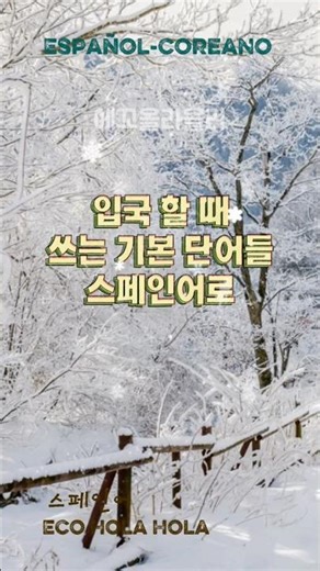 [Español-Coreano] 입국할 때 알아야 할 단어 #스페인어공부 #español #spanish #languagelearning