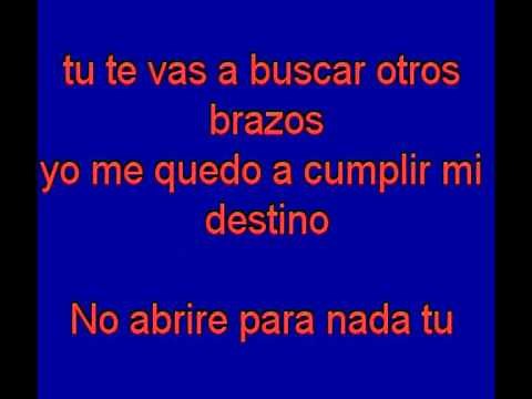 Tu Camino y el Mio - Vicente Fernandez - karaoke Tony Ginzo