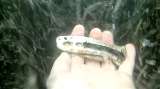 One river trip, 20+ sunglasses, 1 iPhone, and gold rings