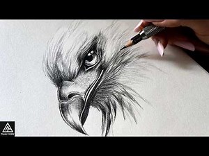 How to Draw a Realistic Eagle Step by Step | Easy Pencil Drawing for Beginners