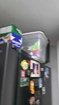 Upgrade Your Home with 6 Inch Recessed Lights – Installation & Tips