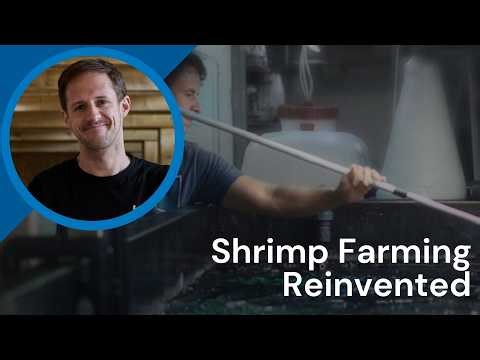 The Technology Behind Sustainable Shrimp