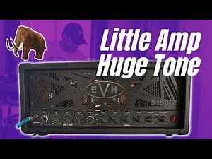 So Stealthy! EVH 5150 III 50S 6L6