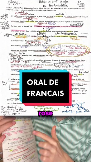 Technique pour Bien Apprendre les Lectures Linéaires - Bac de Français