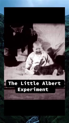 The Controversial Little Albert Experiment Explained