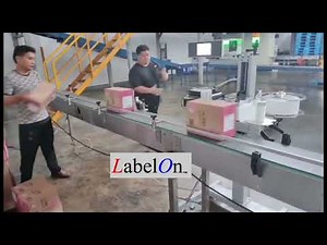Print and Apply Labeler for Front or Back Labeling of Boxes and Pallets