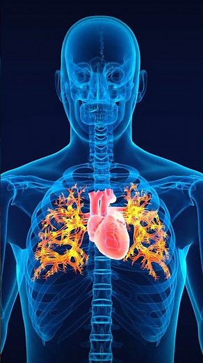 Major forms of TB infection