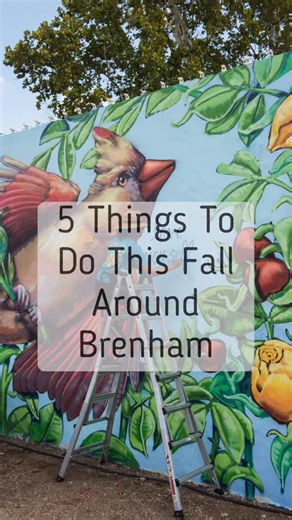 1.1K views · 196 reactions | It’s officially fall, y’all! Fall is packed full of things to do around Brenham. Check out a few of them here, then head to our website for the full lineup!   #visitbrenham #brenhamtx #chappellhilltx #downtownbrenham #independencetx #burtontx #washingtontx #texastodo #texastravel | Visit Brenham/Washington County, Texas | Facebook