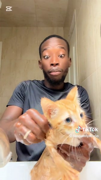 Adorable Orange Kittens: Must-See Cat Videos