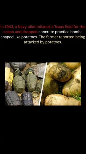 When the US Navy Accidentally Bombed Texas with Potatoes