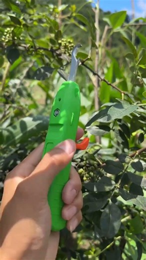 This Gardening Tool Is Actually Genius 🤯