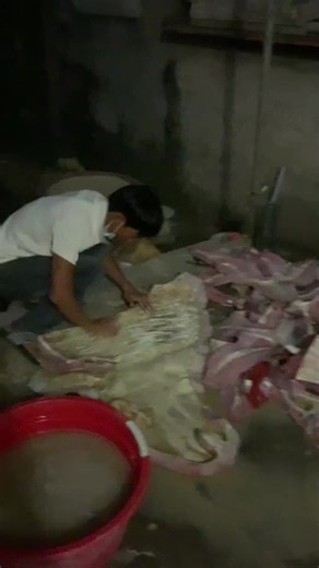 Meat Butchering Techniques in Rustic Setting