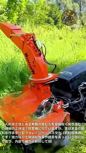 生い茂る草むらを一掃する農機の威力！牧草を刈り取り細かく砕いて飼料として吹き出す自走式飼料作物収穫機のスッキリする完璧な作業プロセス #飼料収穫機 #牧草刈り #農業用機械