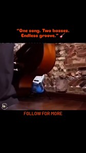 🎸✨ Did you know the iconic bassline in Lou Reed’s “Walk on the Wild Side” is actually two basses layered together? Legendary session bassist Herbie Flowers first laid down a deep double bass groove, then overdubbed an electric bass line a tenth above it. The result? That rich, rolling bassline that defines the track. Simple. Clever. Timeless. 💡🔥 #LouReed #WalkOnTheWildSide #Bassline #MusicFacts #HerbieFlowers #ClassicRock #BehindTheMusic #recordcollector Lou Reed | Record Collector