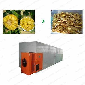 [Hot Item] Hot Air Moringa Leaves Dryer Best Herb Drying Machine Tea Dehydrator Machine