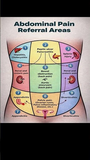 Abdominal Pain Area Reference: What the Location of Your Stomach Pain Could Mean