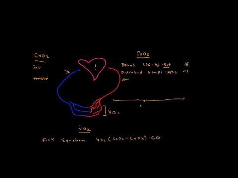 What is Mixed Venous Oxygen Saturation?