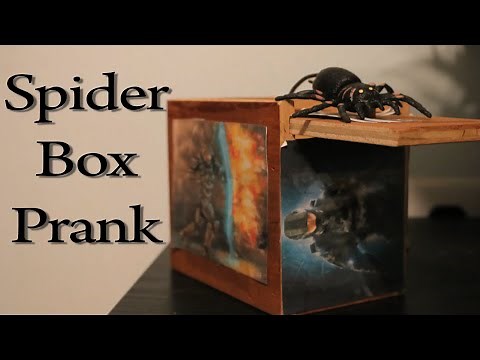 Spider Box Prank