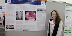 New grad programs advance educational landscape at UF »  College of Veterinary Medicine » University of Florida