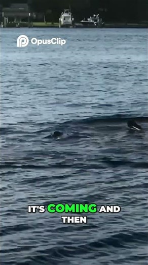 Paddleboard Fail! Watch Him Fall