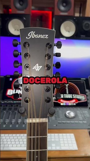 Ibanez AW8412 Custom 🤧#12stringguitar