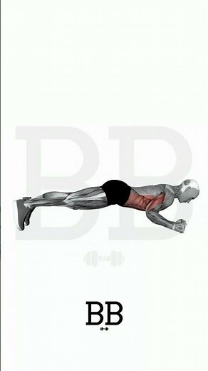 Plank Up-Down (CORE): Build Superior Ab Strength & Shoulder Stability! 💪