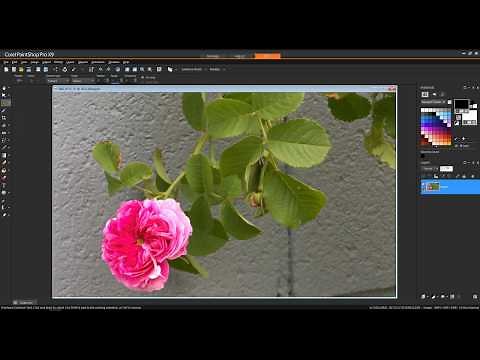 Working with the Raw Lab in PaintShop Pro x9
