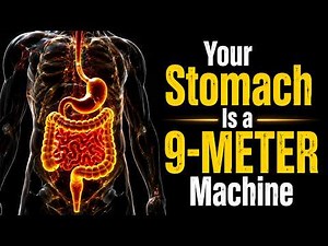 "The Journey of Food Through Your Body | Human Digestive System Explained (3D Animation)"