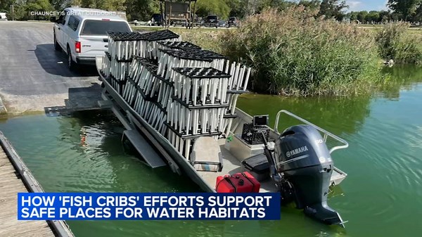 Locals use 'fish cribs' to support safe places for water habitats