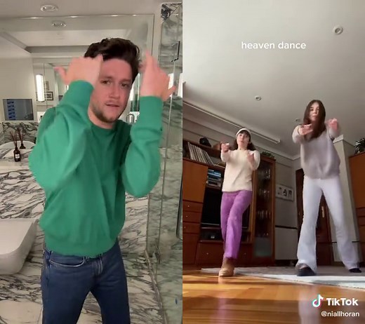 #duet with @nire #niallhoran nailed it.. your turn 🫵🏻 | niall horan