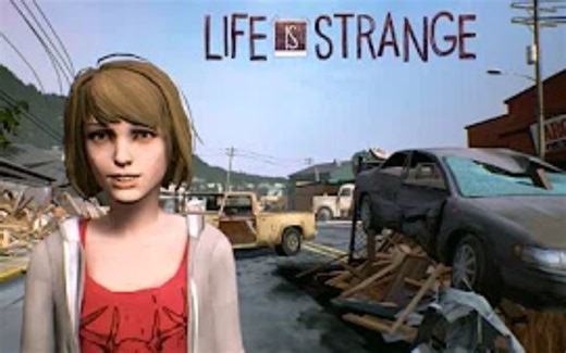 【搬运/奇异人生】Other End？（Max精神错乱版