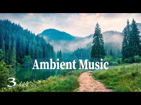 3 Hour Calming Meditation Music | Peaceful Sounds for Mindfulness