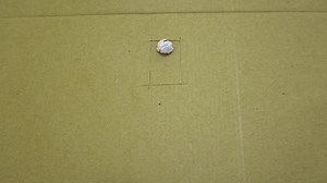 6.3K views · 107 reactions | #ContestAlert Who is your 3am friend...