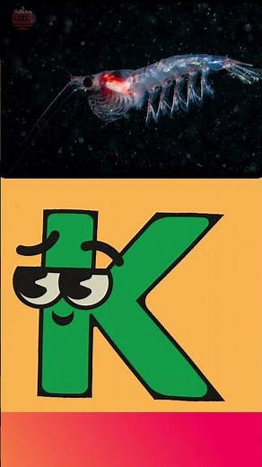 A to Z Deep Sea Animals 🌊 | Learn Ocean Creatures & Alphabet Song for Kids | UZR Kids