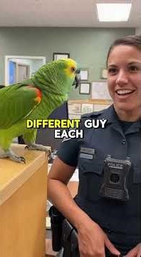 Talking Parrot Rico Rejects Police Marriage Proposals 😂🦜 | Savage Roasts Compilation