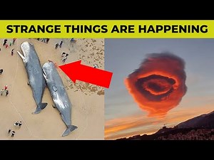 8 Signs Jesus is Coming Back SOON!