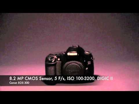 Canon EOS 30D Fast Overview