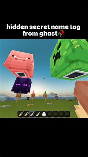 Hidden secret name tag in minecraft