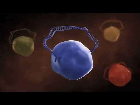 Proximity Extension Assay (PEA) Explained | High-Specificity, High-Throughput Biomarker Analysis