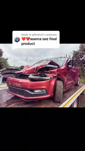 Stevie Panelbeaters on TikTok