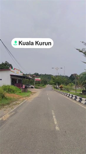 Explorando el Fenómeno Pyf en las Redes Sociales