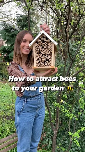 How to Attract Bees to Your Garden Effectively