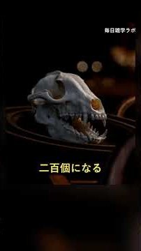 雑学 #12｜生まれたばかりの赤ちゃんの人間の骨の数は約〇〇個だった…？知ると驚く体のヒミツ