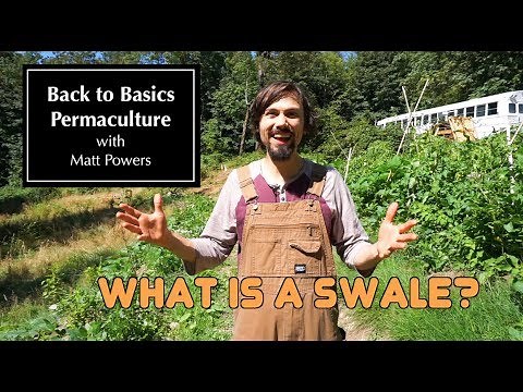 Back to Basics Permaculture - Ep1: What is a Swale?