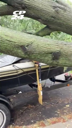 Several homes in Oakville damaged as thunderstorms roll through GTHA