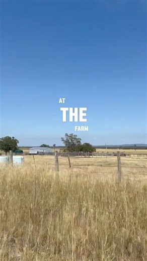 Day in the life as a paddock to plate meat company