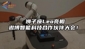复合智能教育机器人狮子座Leo